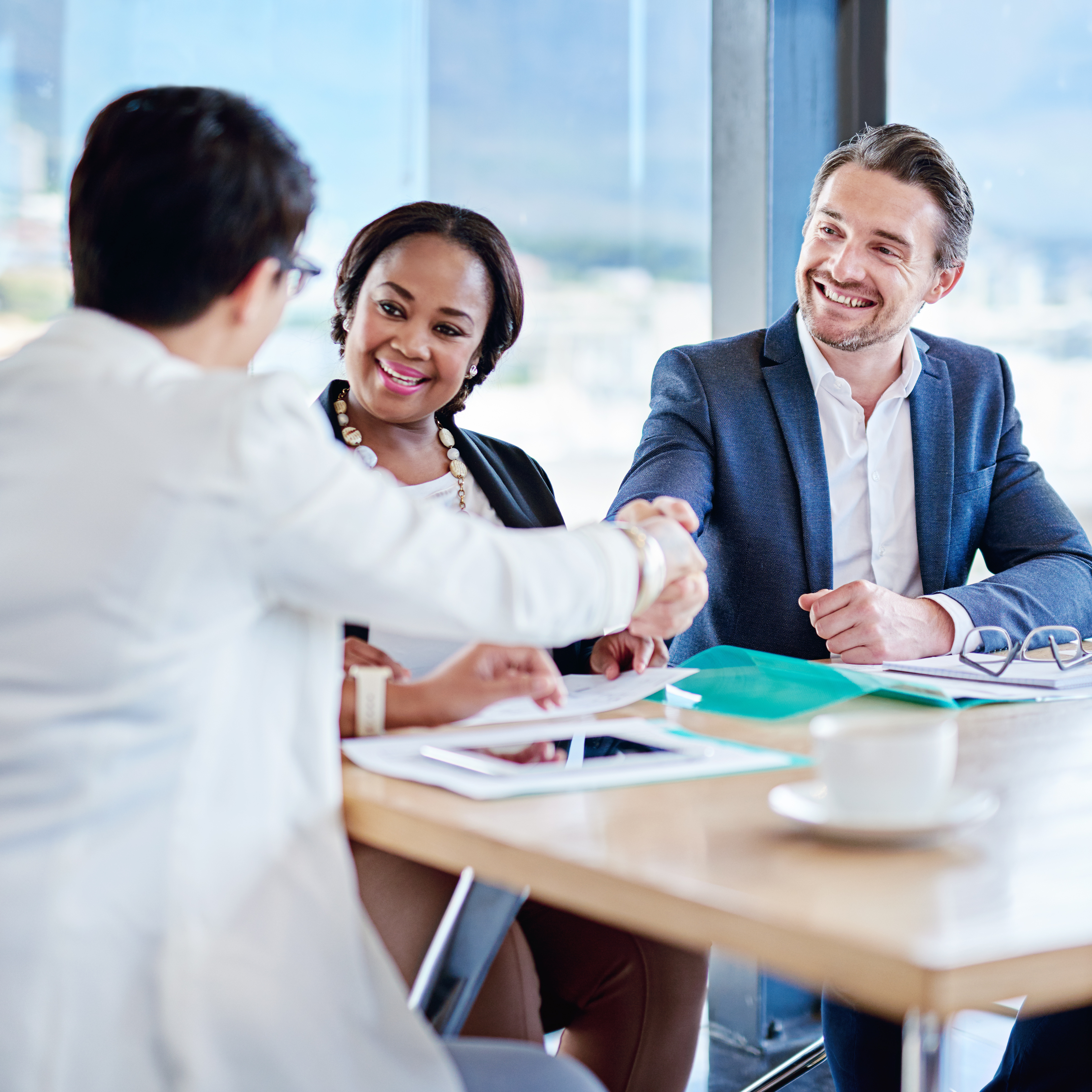 AI Expert Selection and Project Onboarding